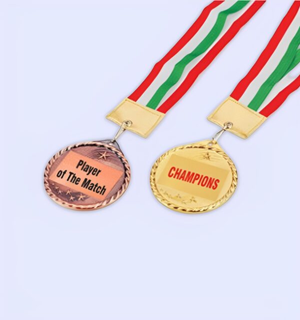 Corporate Excellence Medals