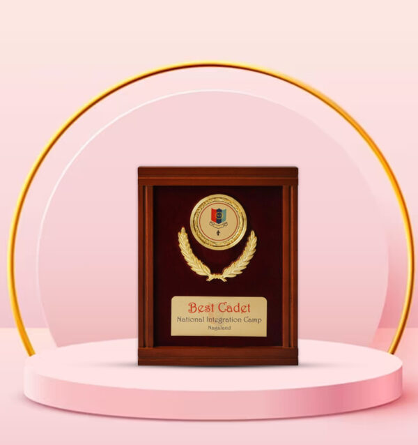 Corporate Personalized Medal Display Trophy