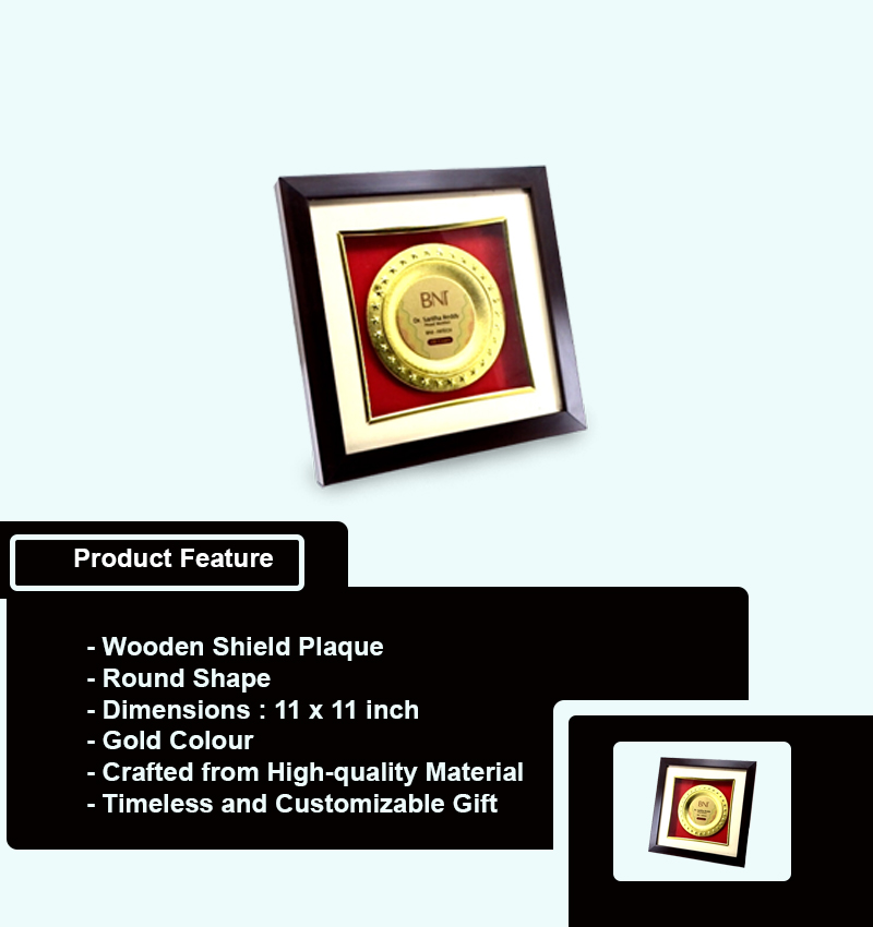 Corporate Round Shield Plaque 11 inch infographic