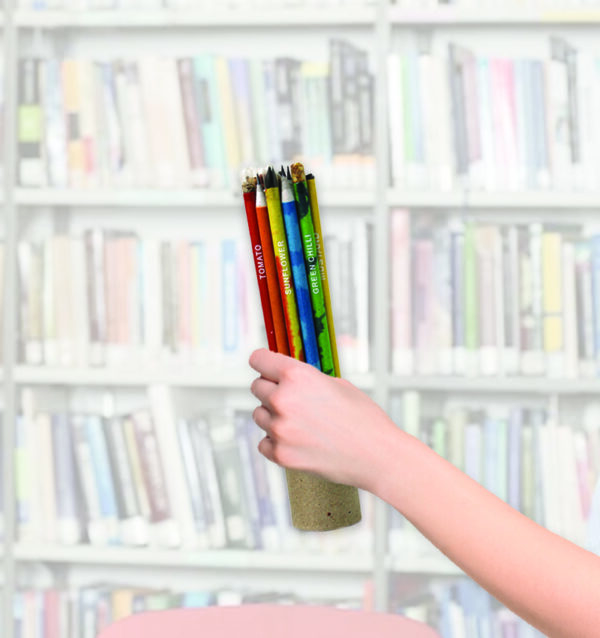 Eco-friendly Colouring Seed 10 Pencils