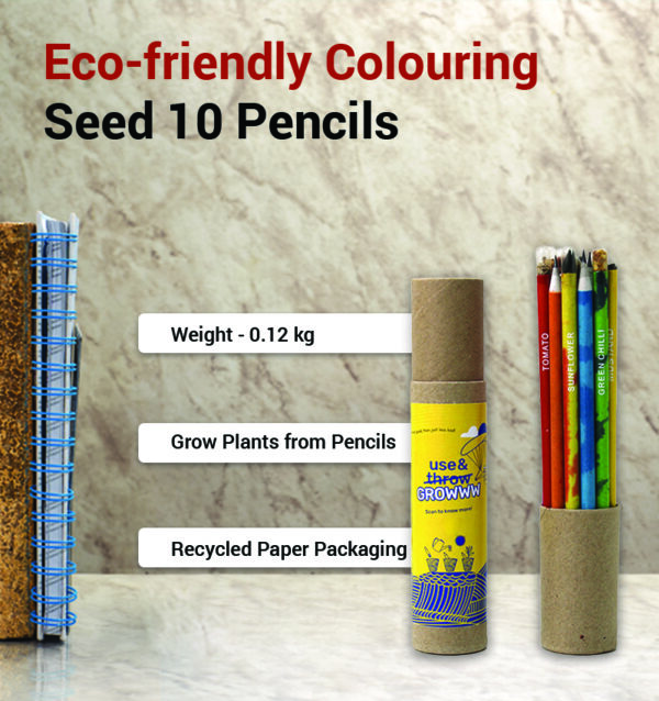 Eco-friendly Colouring Seed 10 Pencils infographic