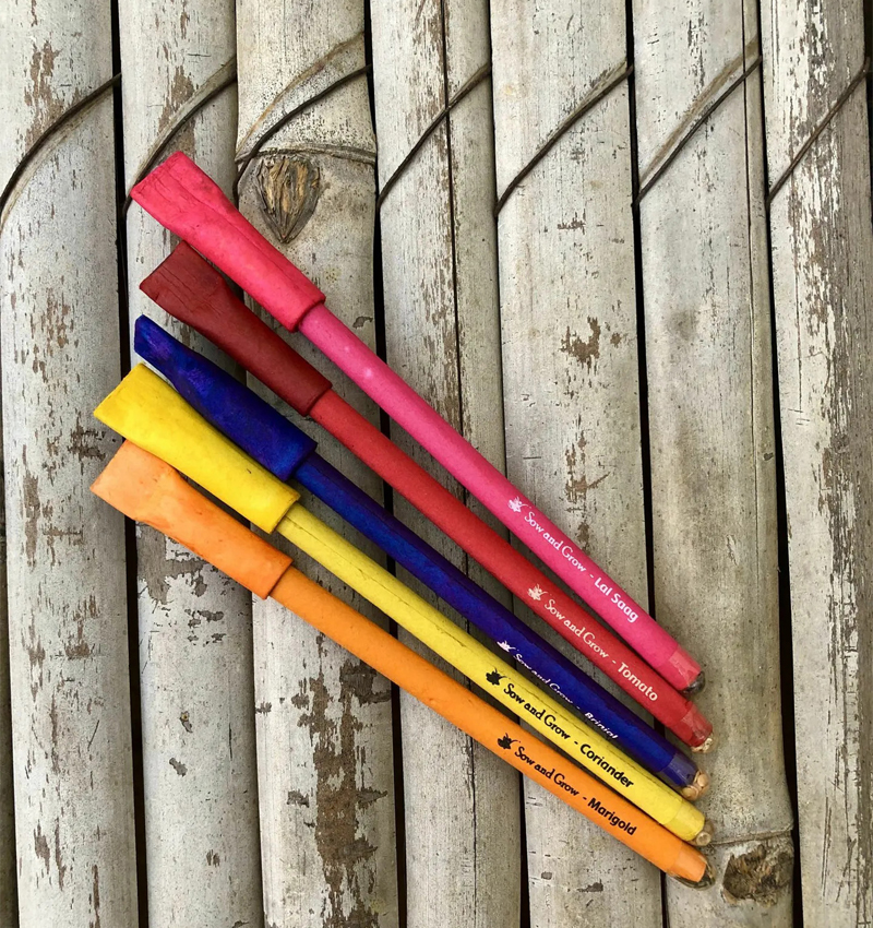 High Quality 5 Plantable Paper Pens