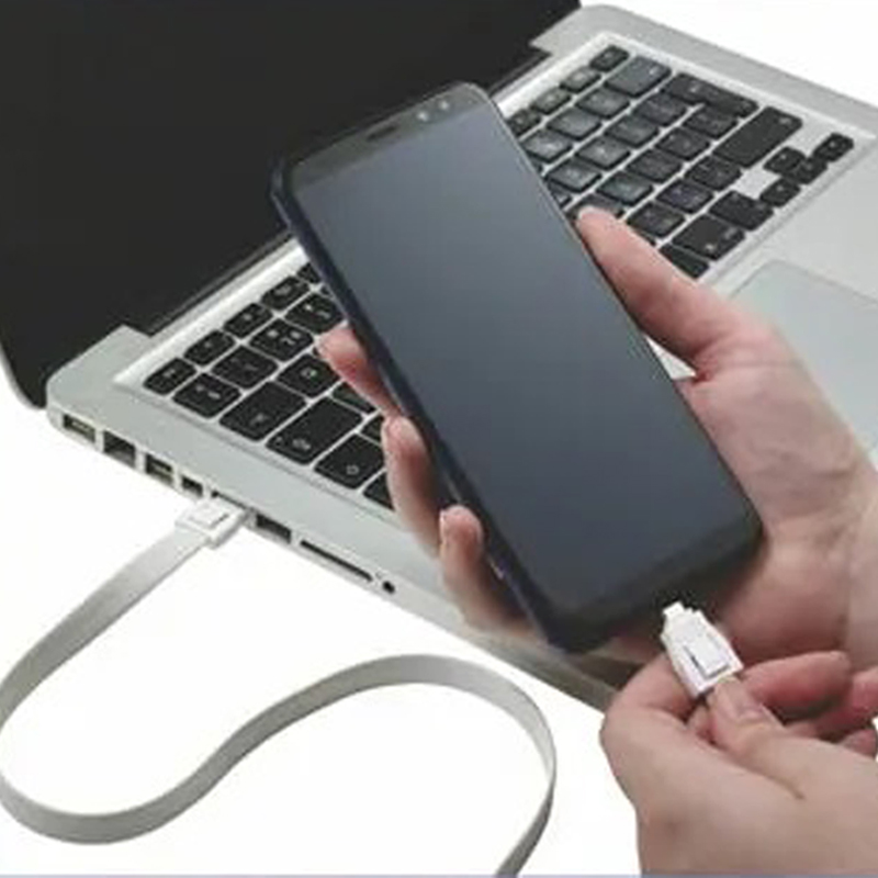 Lightning Charging Cable With Micro USB