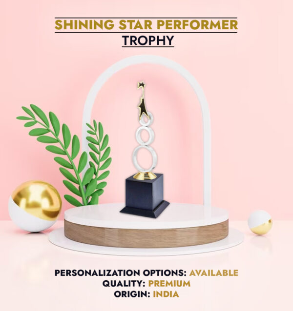 Shining Star Performer Trophy Inforgraphic