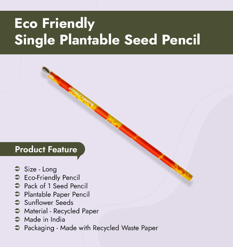 Eco Friendly Single Plantable Seed Pencil infogrqphic