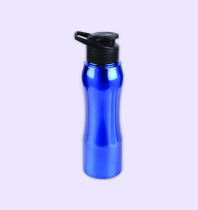Sports Stainless Steel Bottle with 750 ml Capacity